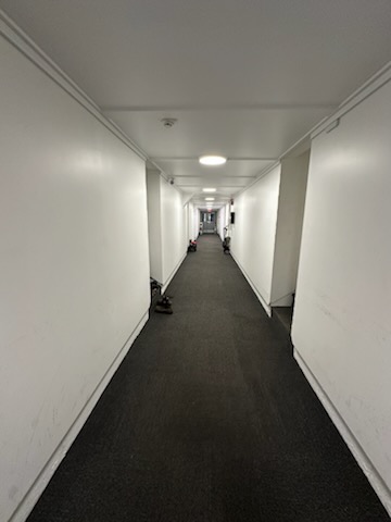 Professional cleaning work