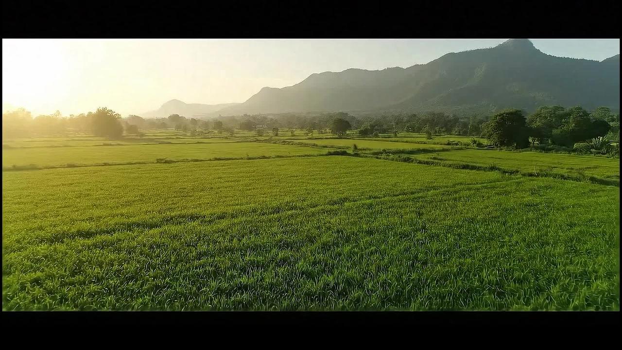 amar dairy 1.mp4