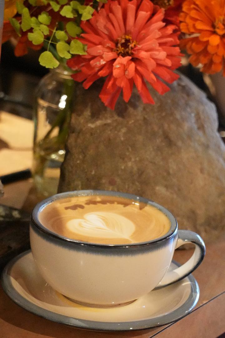 michell's photos 2.jpeg