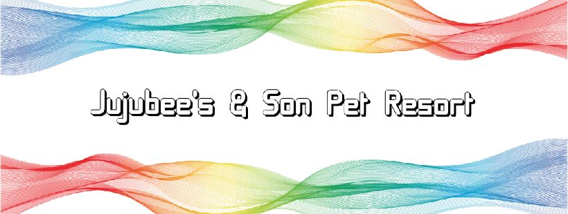 JUJUBEE'S & SON PET RESORT - WELCOME TO OUR SERVICES, AND THANK YOU FOR YOUR BUSINESS! WOOF & MEOW!