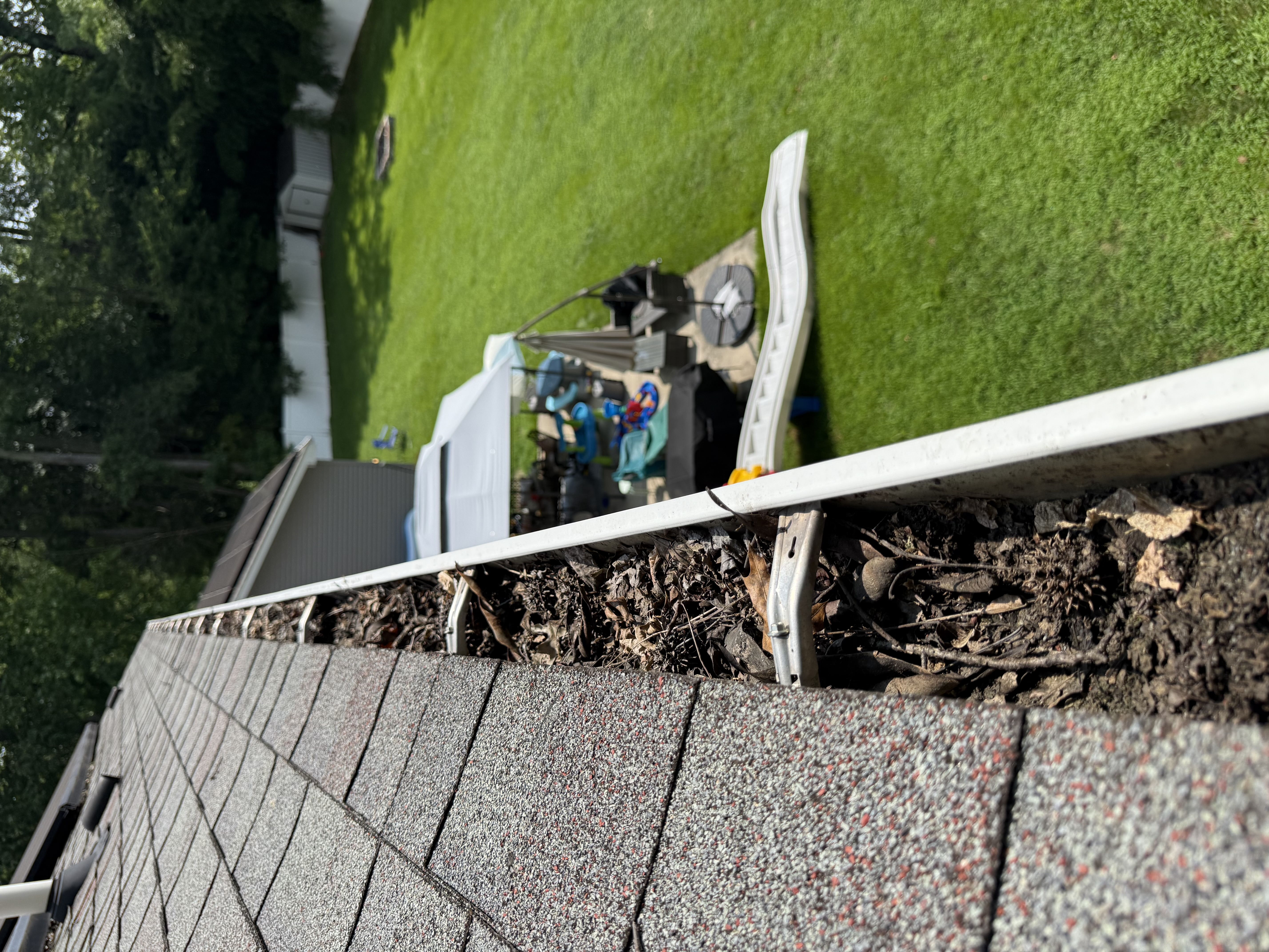 Gutter Cleaning before
