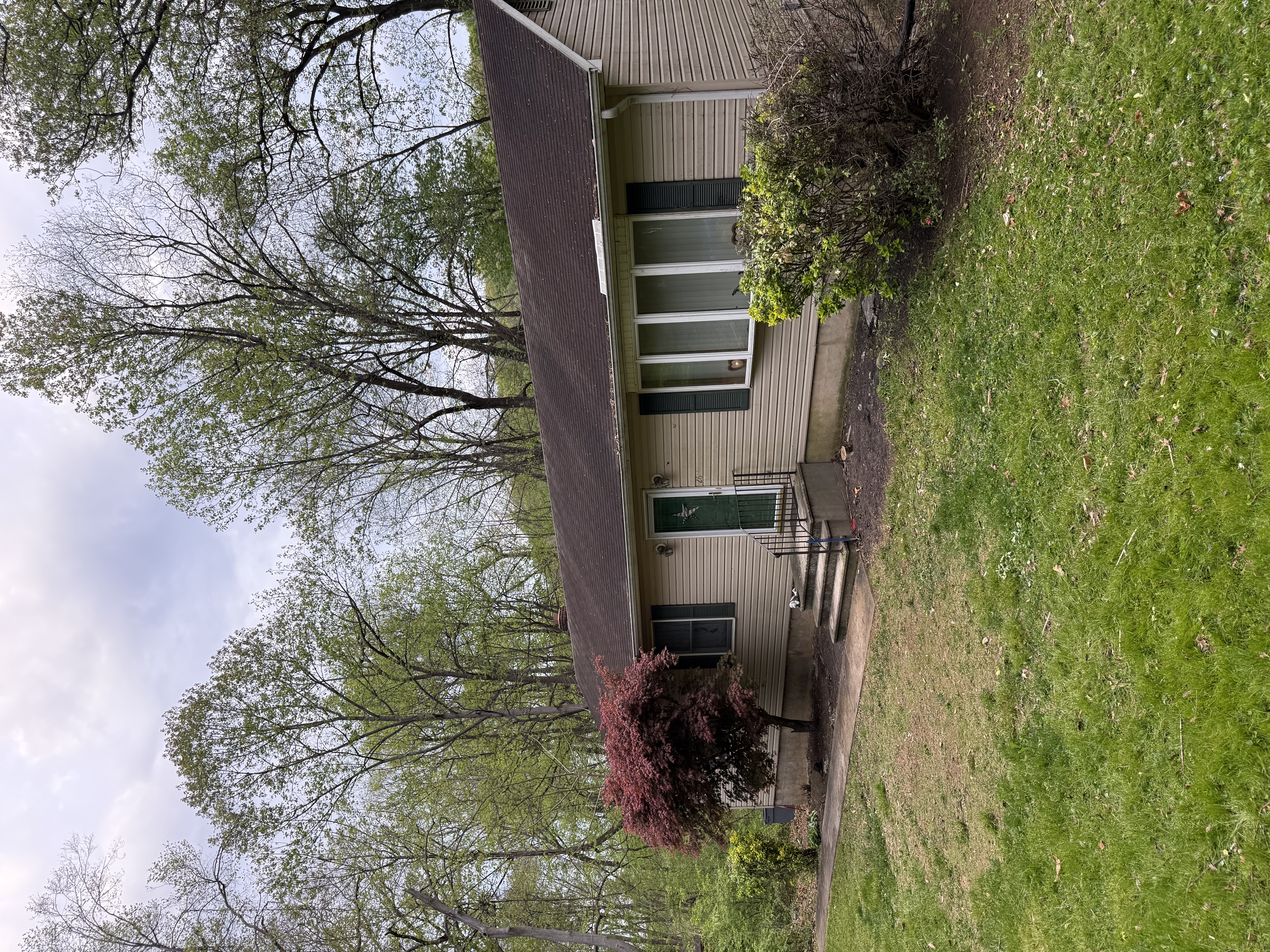 Yard cleanup service results