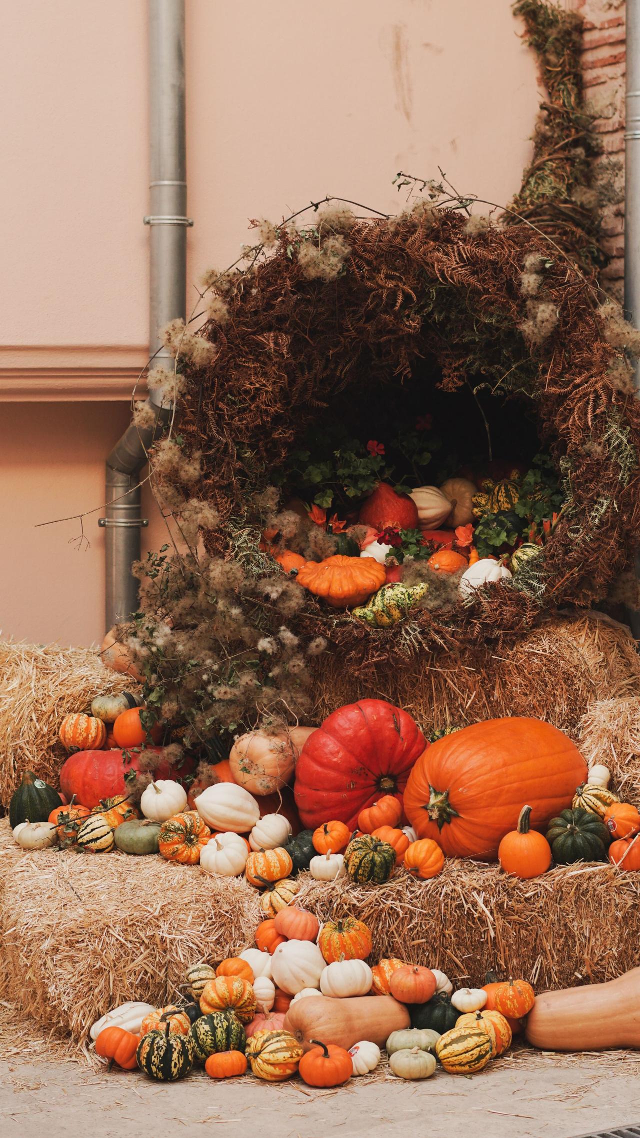 Festive autumn display with pumpkins and gourds in a decorative setting, perfect for fall themes.