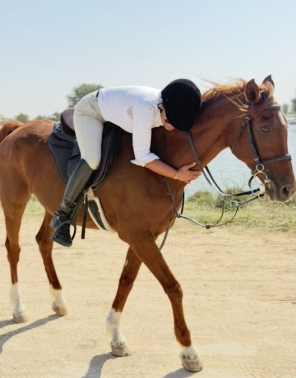 Racing Arabian horse through the desert in Dubai