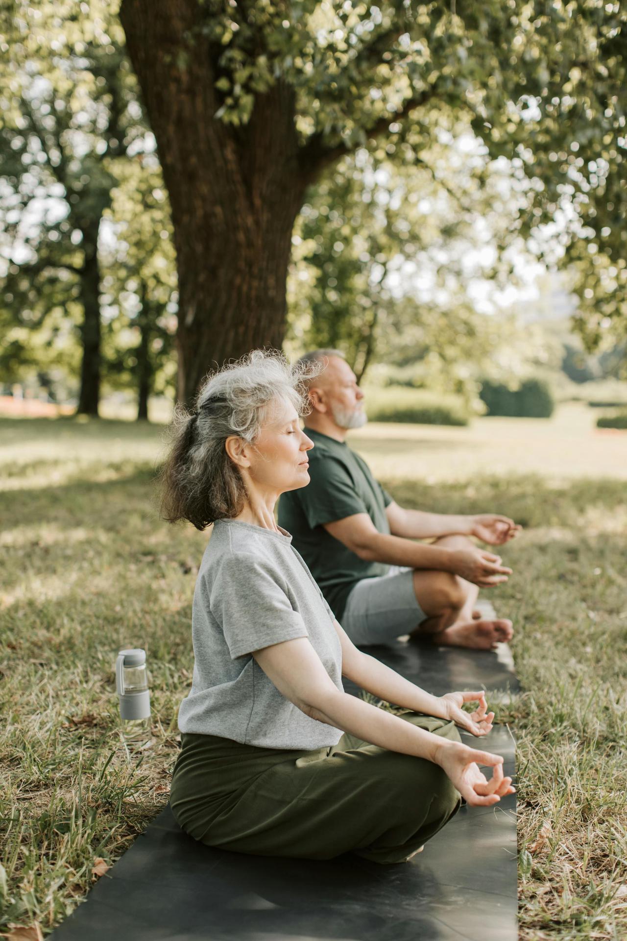 Elderly couple practicing meditation on yoga mats in a sunny park.