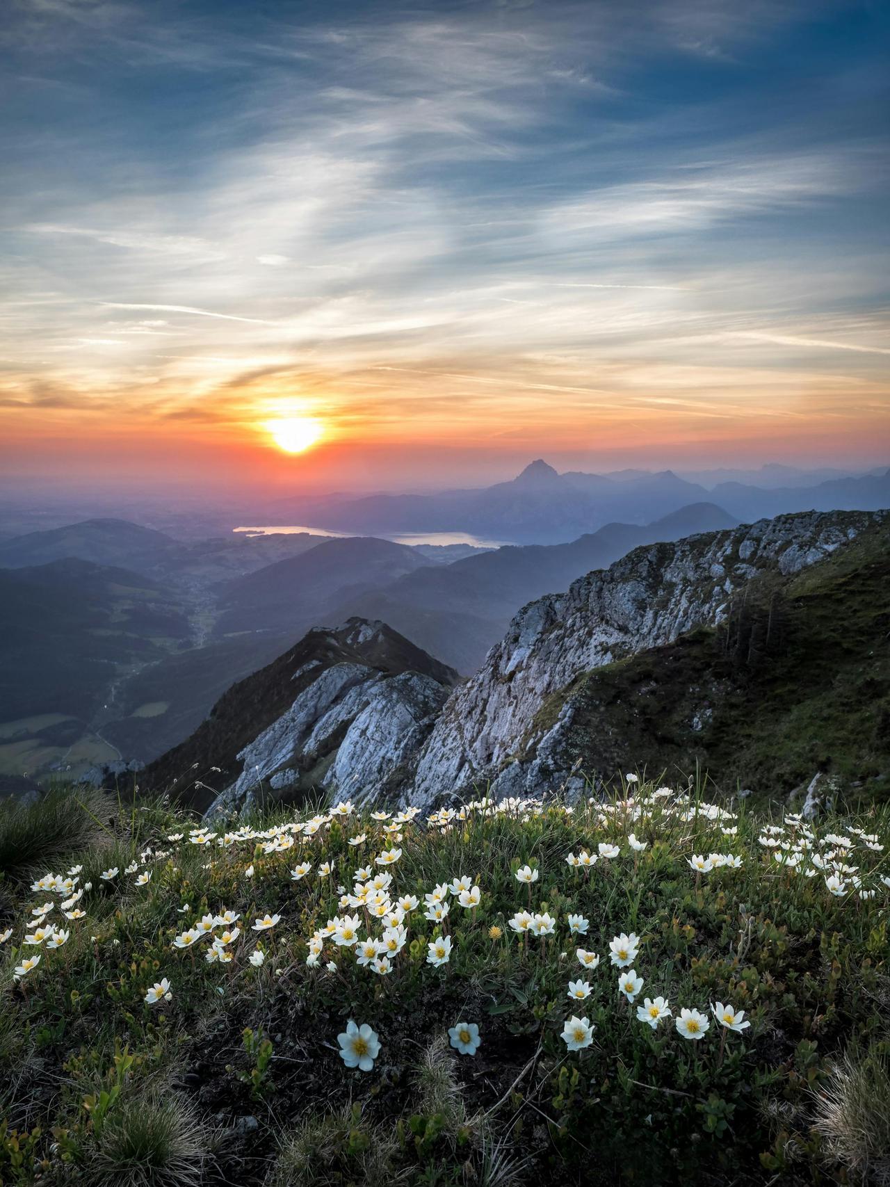 A stunning sunrise view over a rocky mountain landscape with wildflowers in bloom.