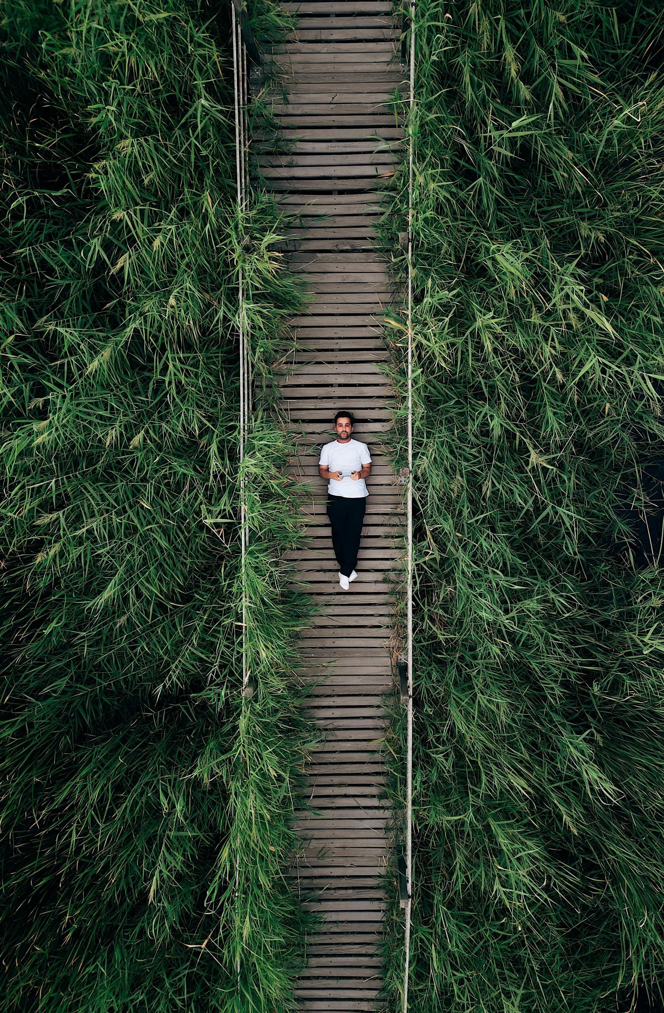 Aerial view of a man relaxing on a wooden footpath surrounded by lush greenery.
