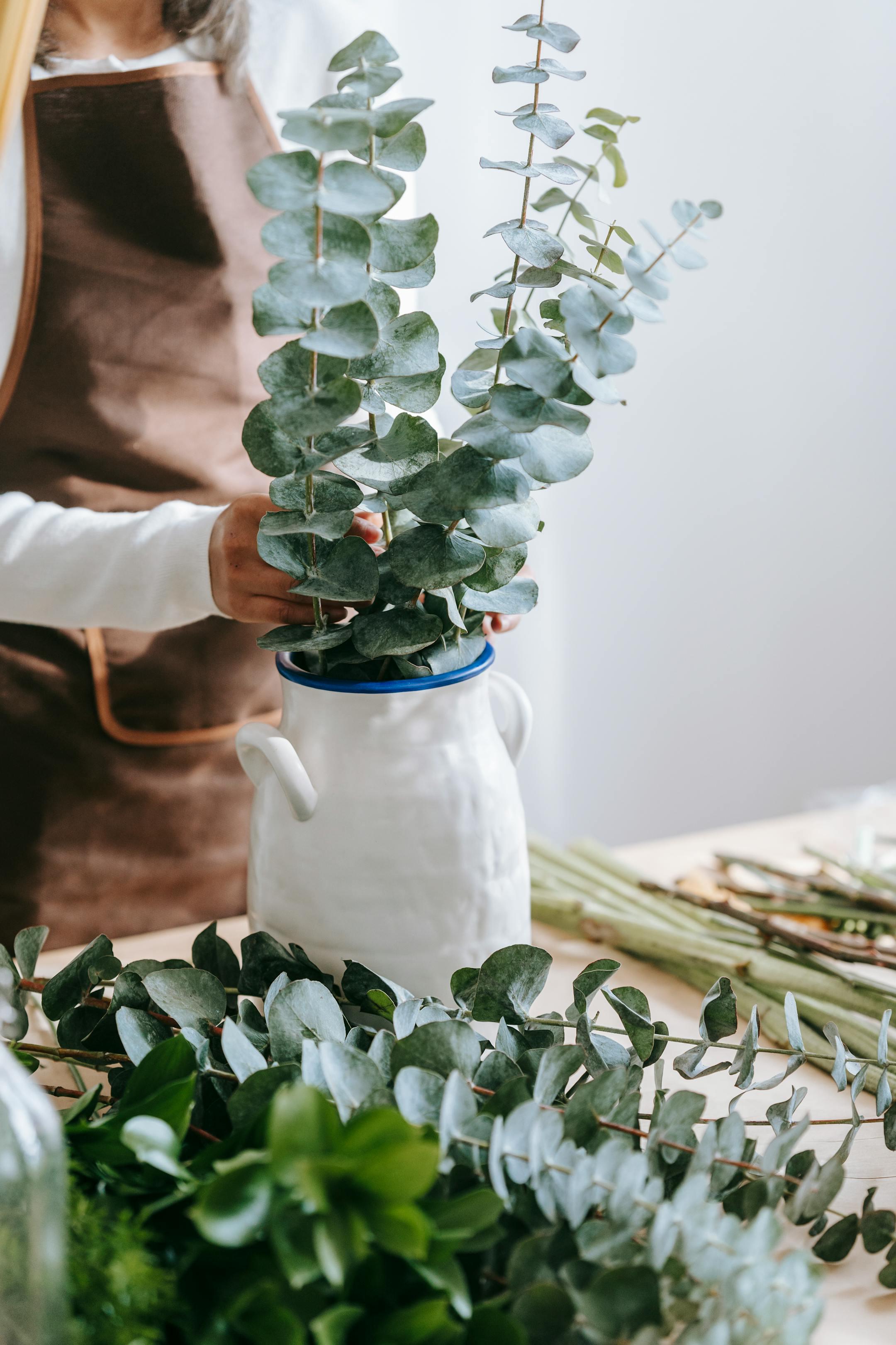 A florist arranges fresh eucalyptus in a white ceramic vase on a wooden table.
