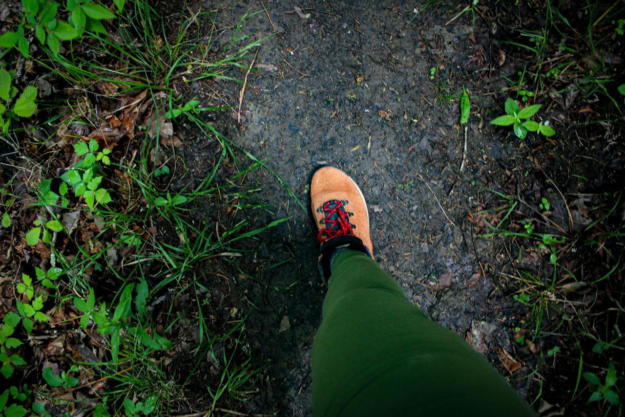 A close-up of a hiking boot on a dirt trail surrounded by lush green foliage.