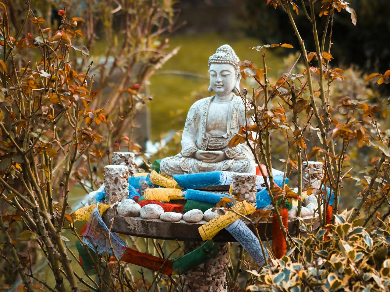 Buddha statue surrounded by colorful prayer flags in a tranquil outdoor setting, embodying peace and spirituality.