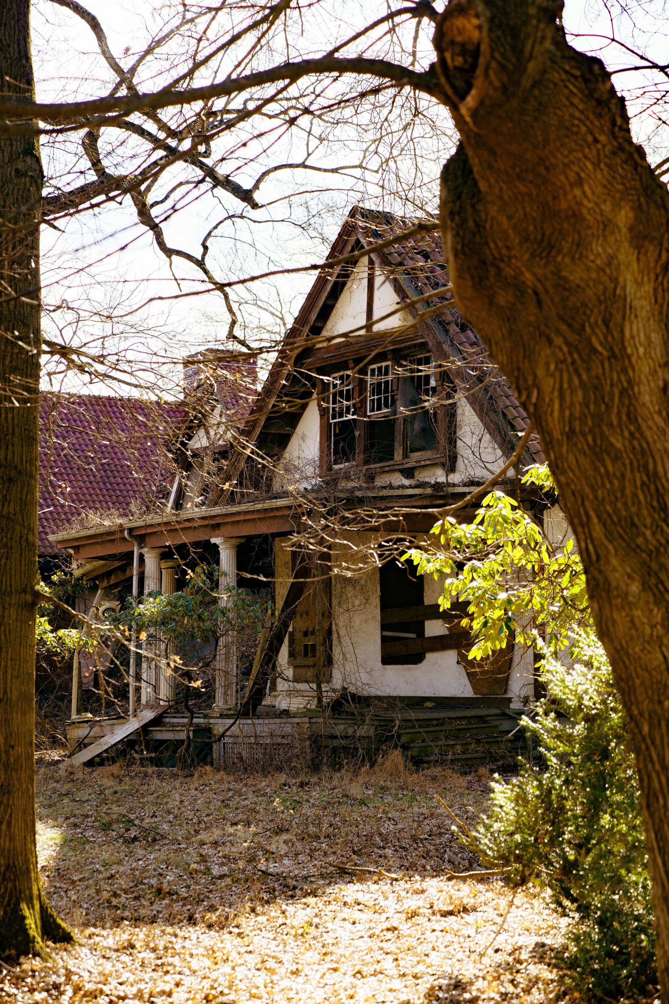 A house in the woods with a tree in front of it