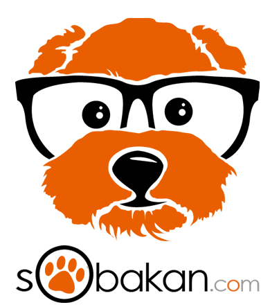 Professional dog trainer man working with a dog and owner