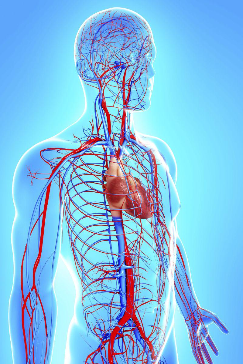 untitled design (4).jpg