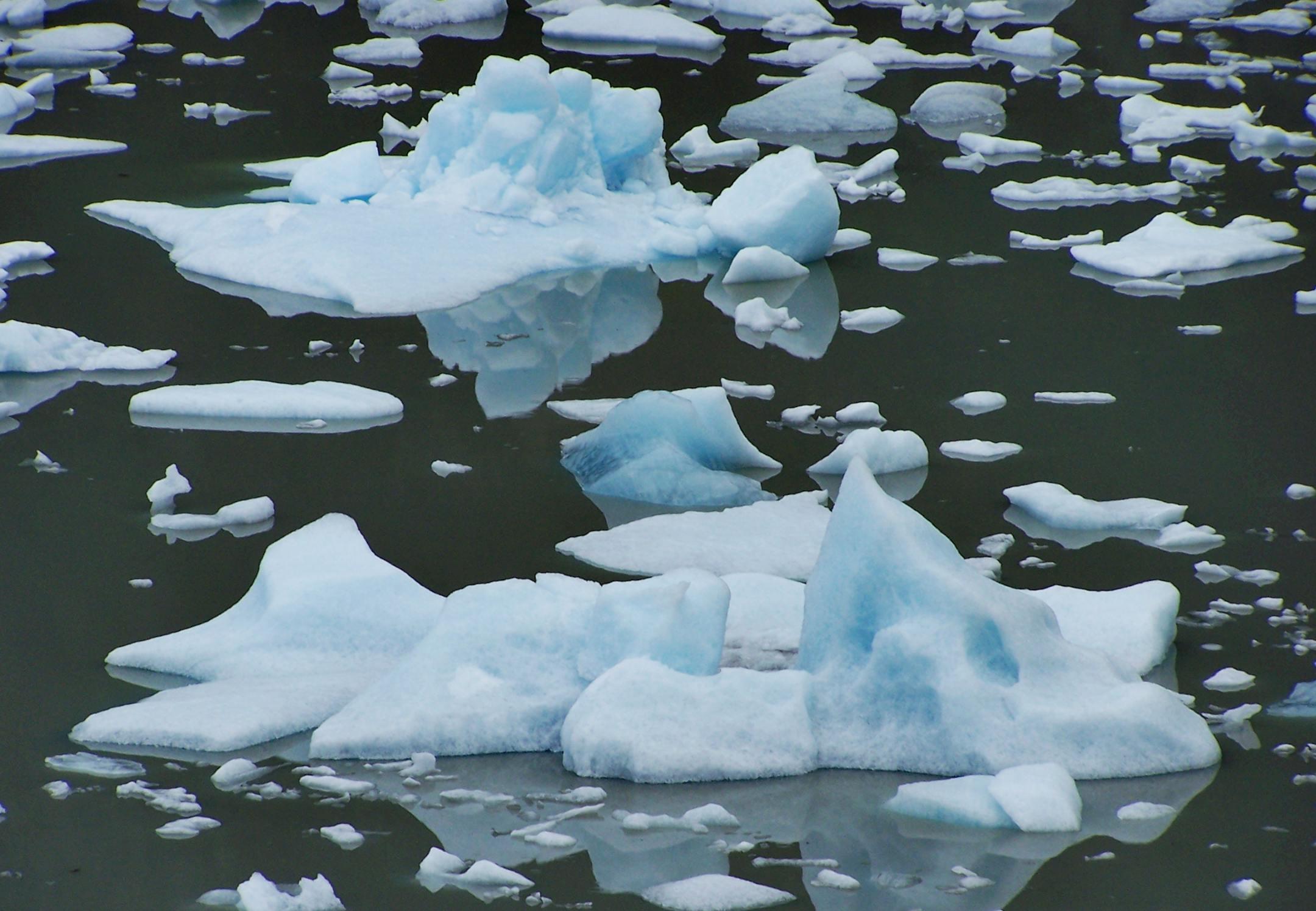 A stunning view of floating icebergs in Magallanes, Chile, emphasizing climate change.