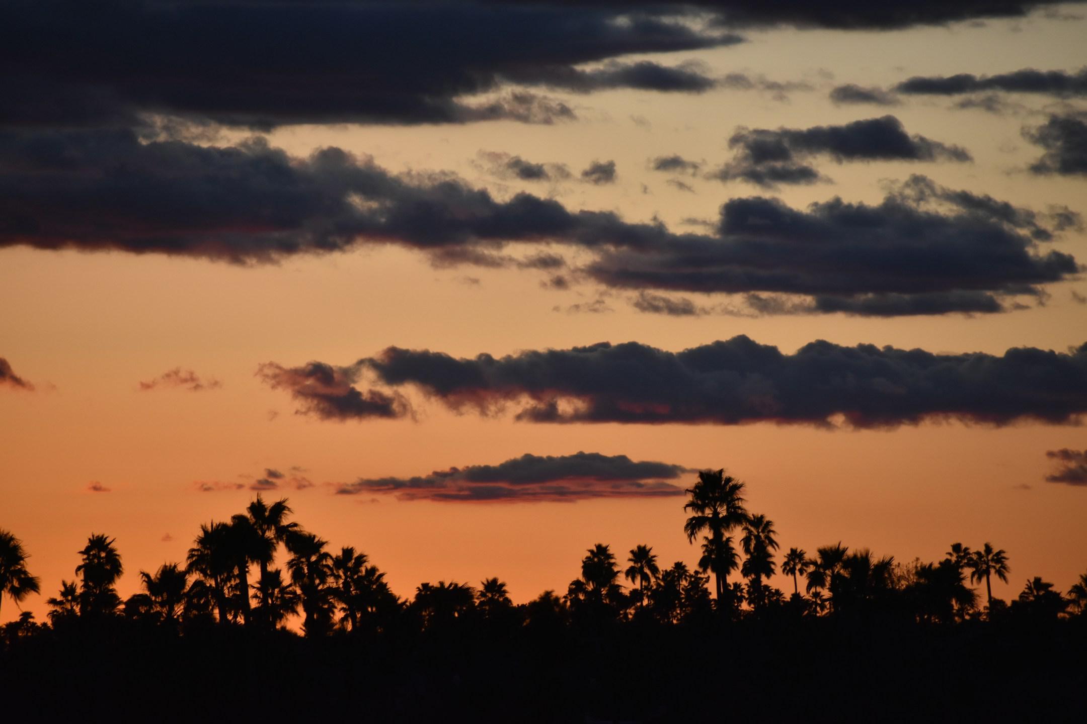 Scottsdale Sunset
