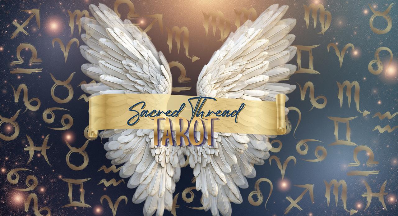 image 25-11-2025 at 6.54 pm.jpeg