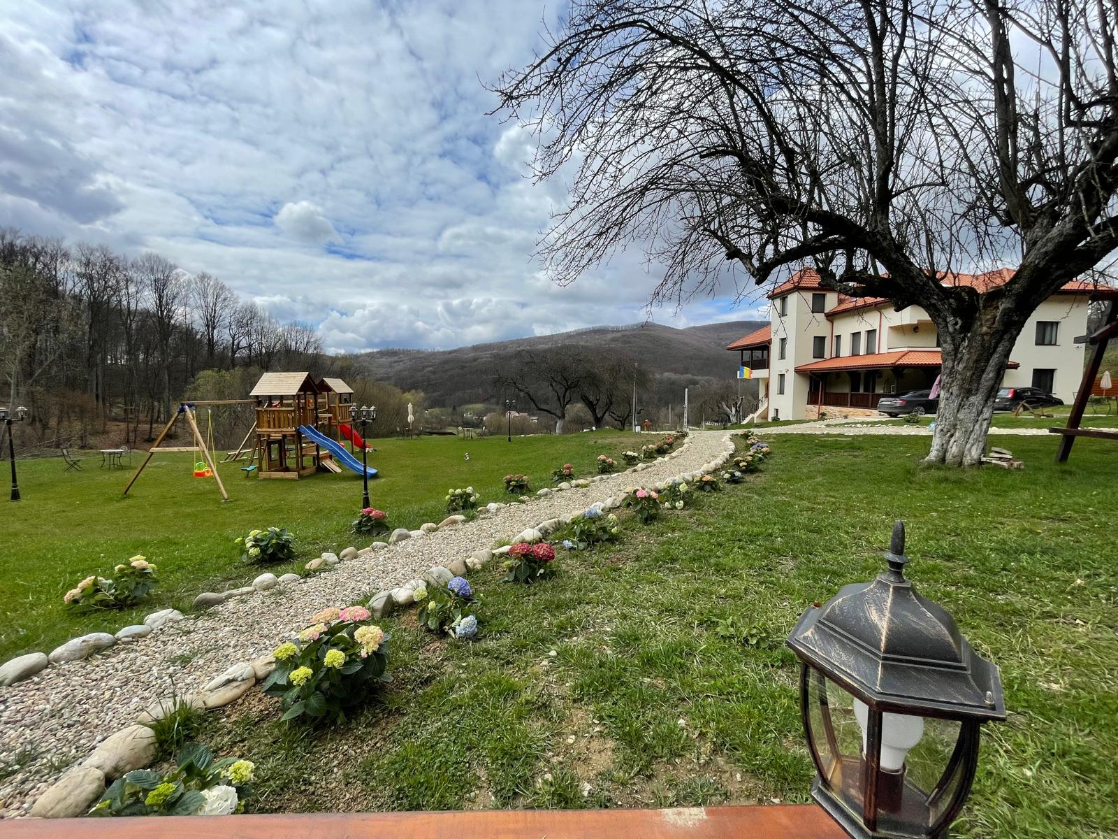 Peisaj și vegetație în jurul conacului