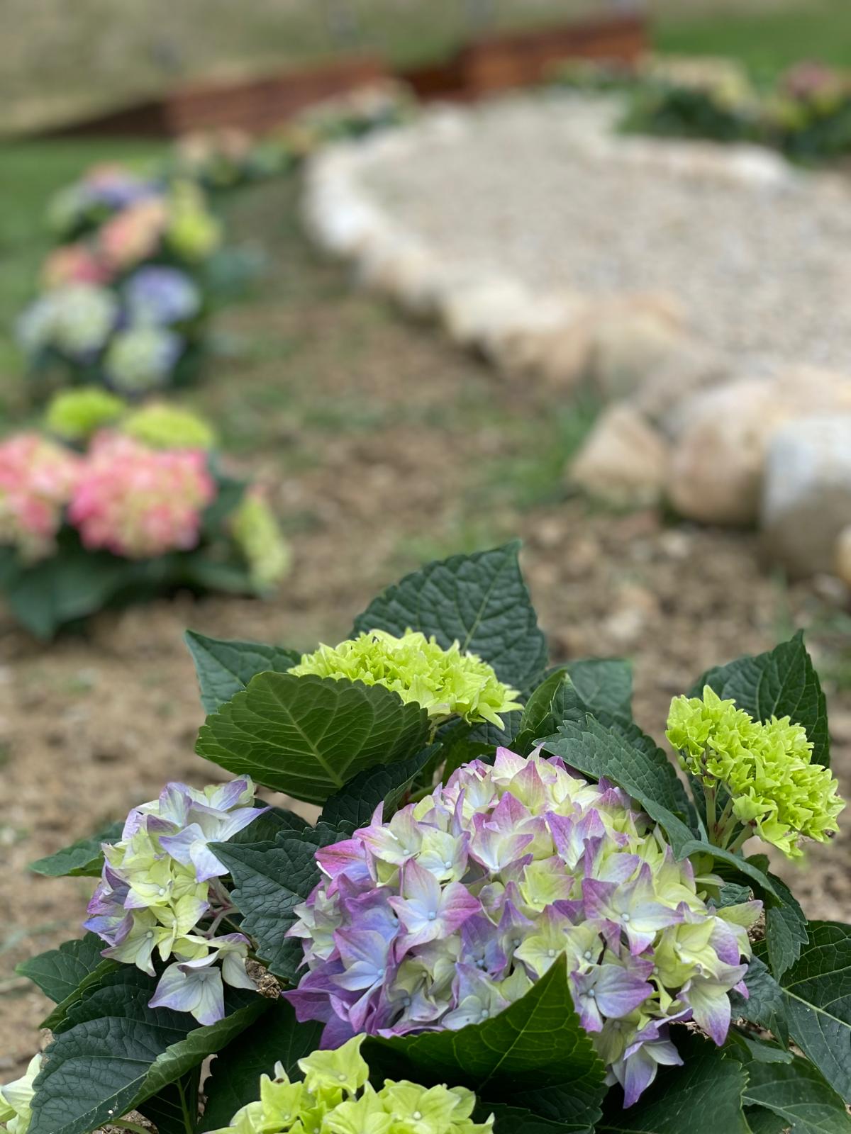 Curtea și exteriorul Conacul Sofra