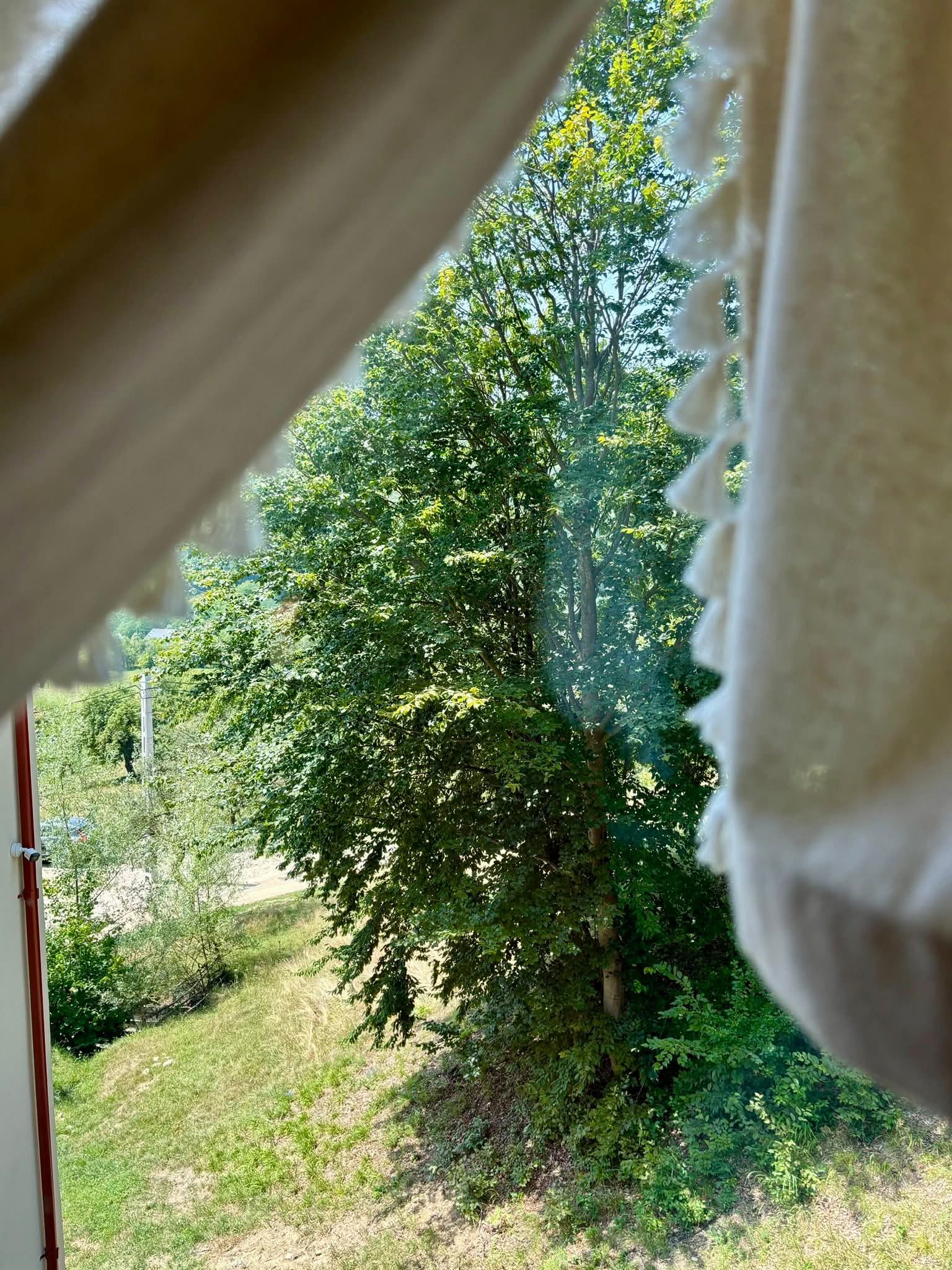 Șemineu și colț de relaxare