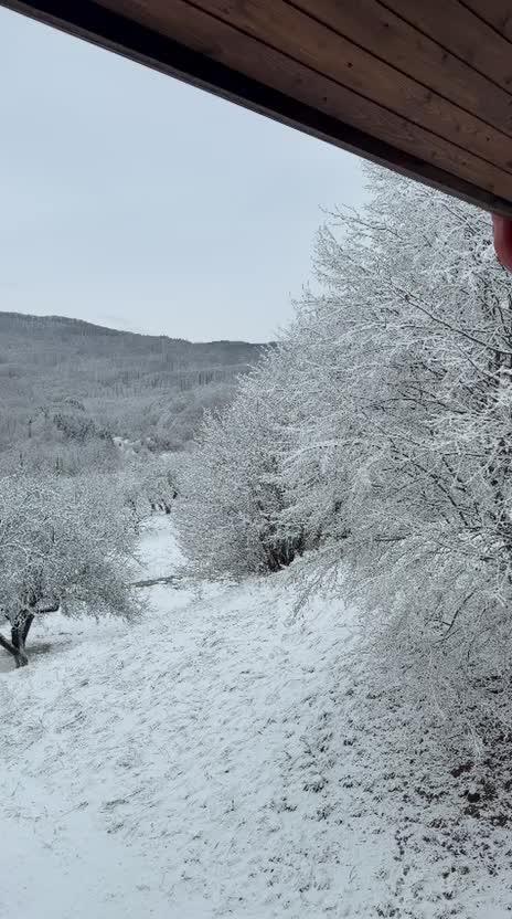 whatsapp video 2026-01-08 at 16.14.57.mp4