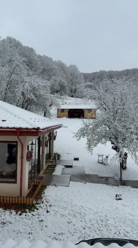 whatsapp video 2026-01-08 at 16.14.58.mp4