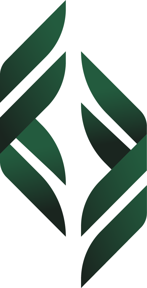 693759f972a8c882e46137ca_new zealand immigration partners - brandmark - rgb - full colour.png