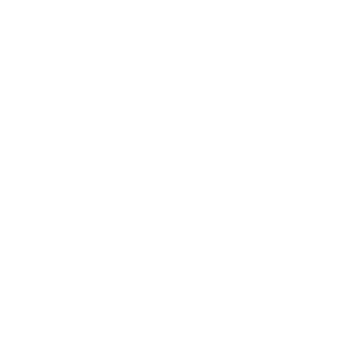 rapid.png