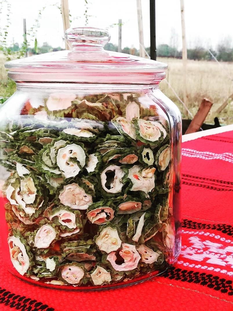 120601633_345000930181479_5287810091741605988_o (2).jpg