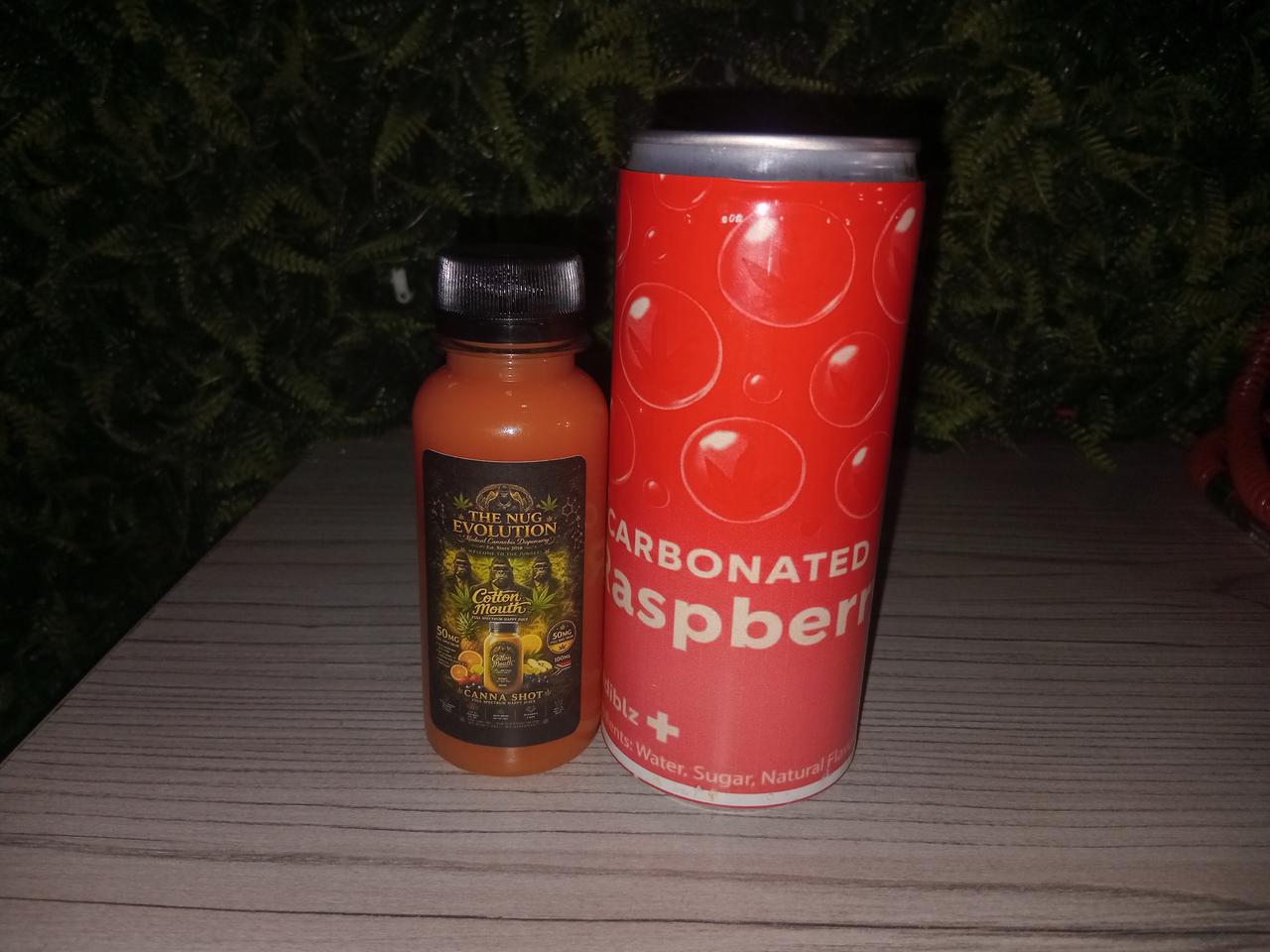 A refreshing cold drink combo with chilled bottles, sparkling water, ice and citrus