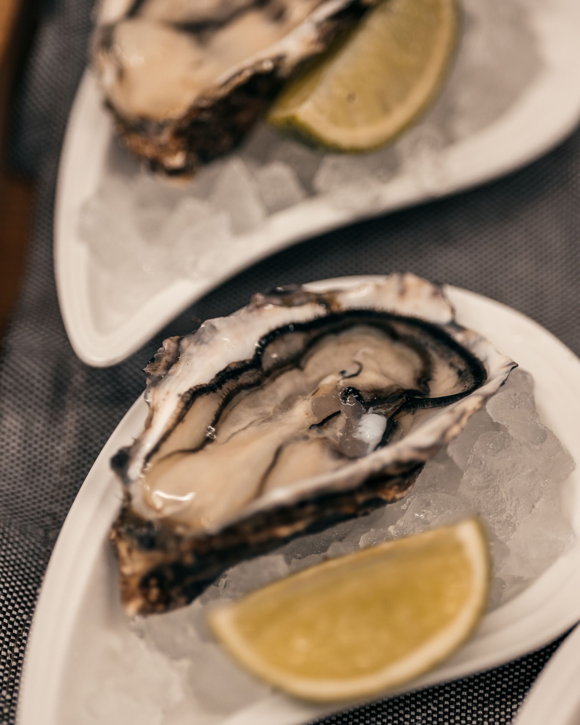 Luxury oyster