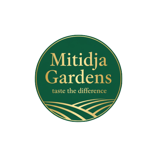 logo mitidja.png