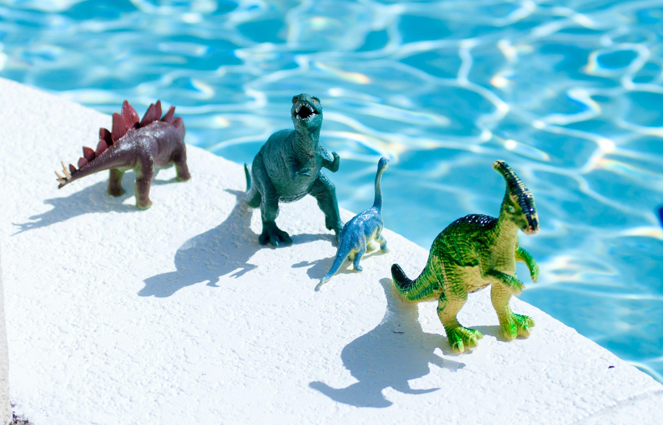 Toy dinosaurs by the pool.