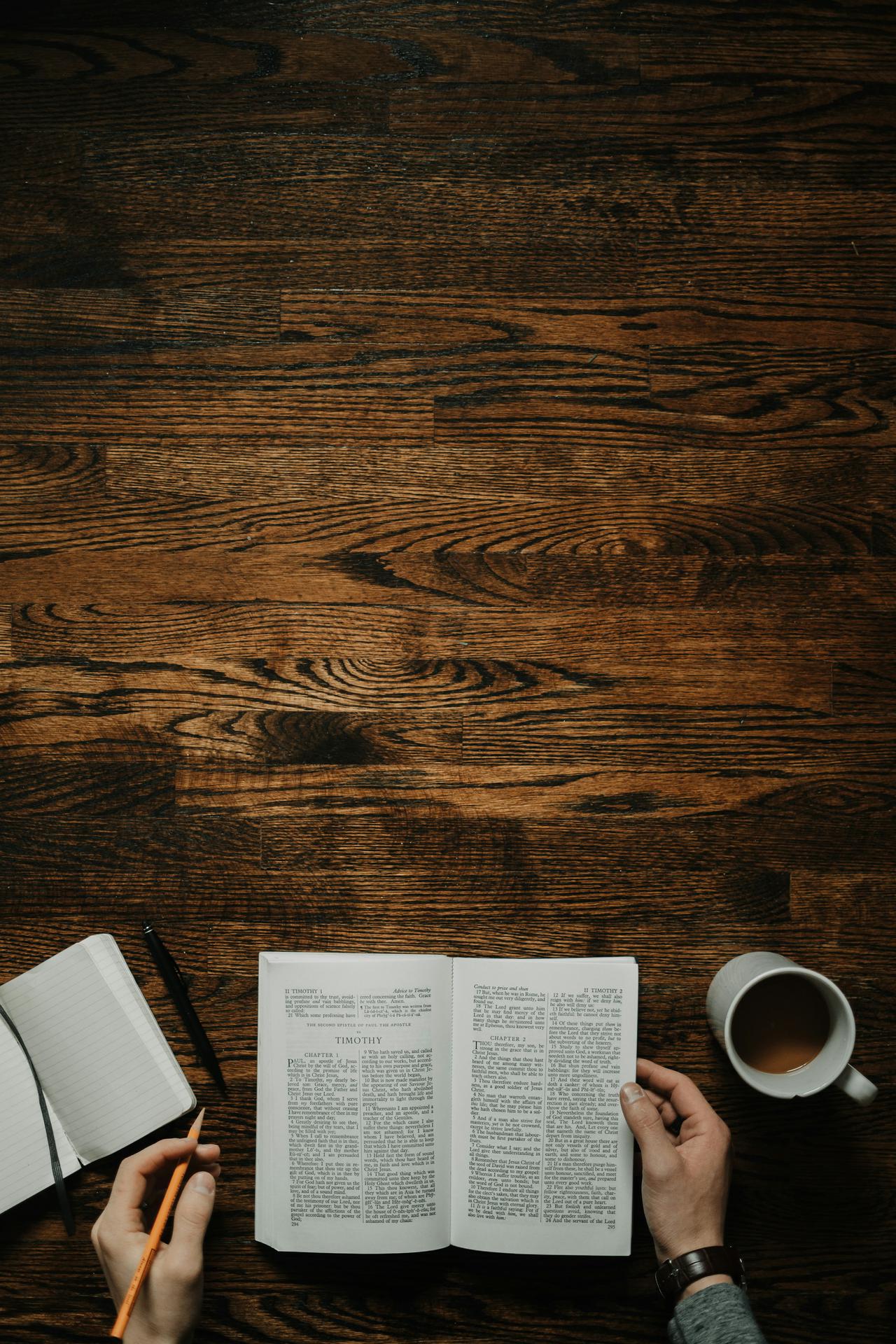 Bible Explore the word timothy church