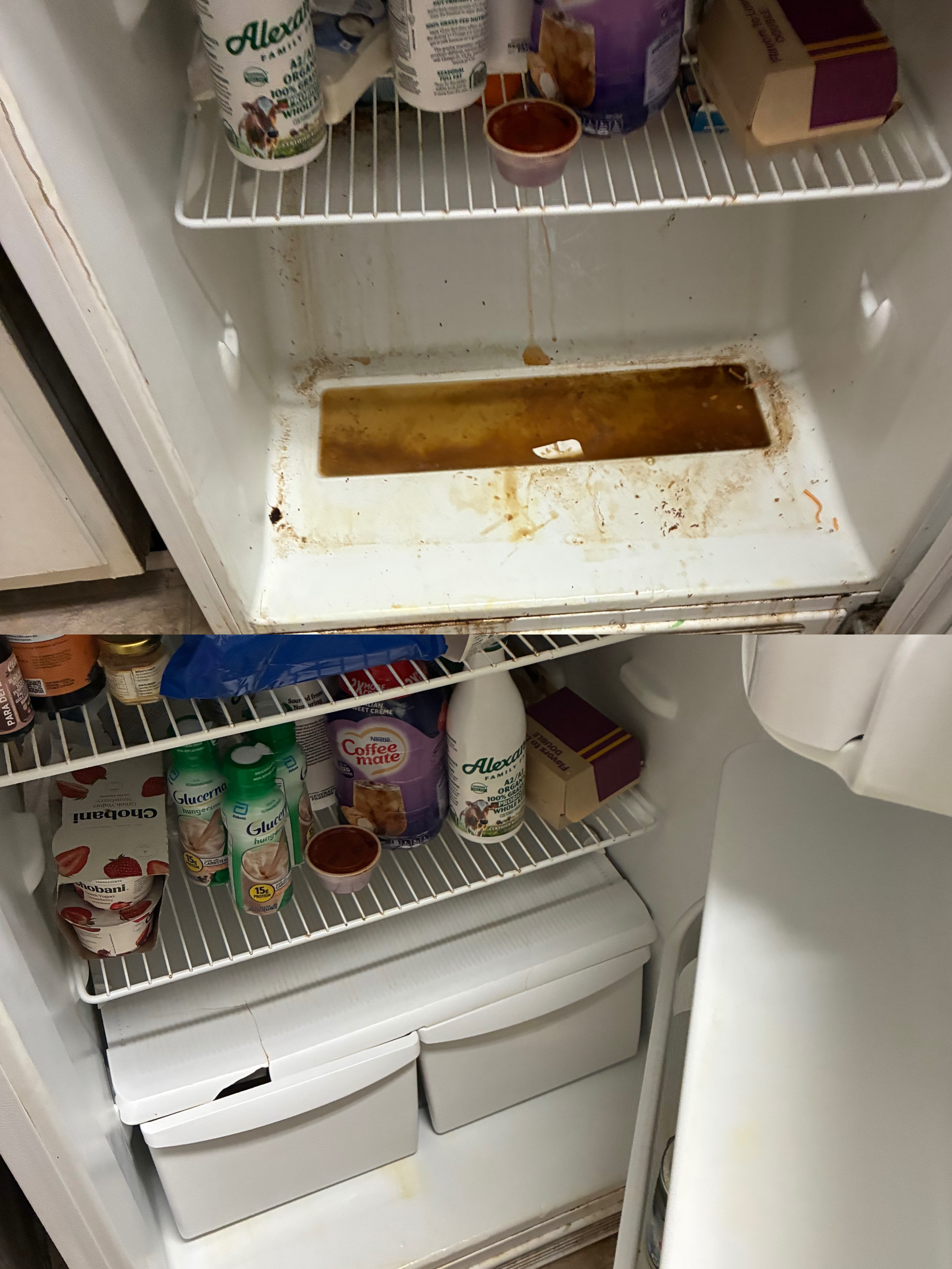 Before and After Cleaning Transformation
