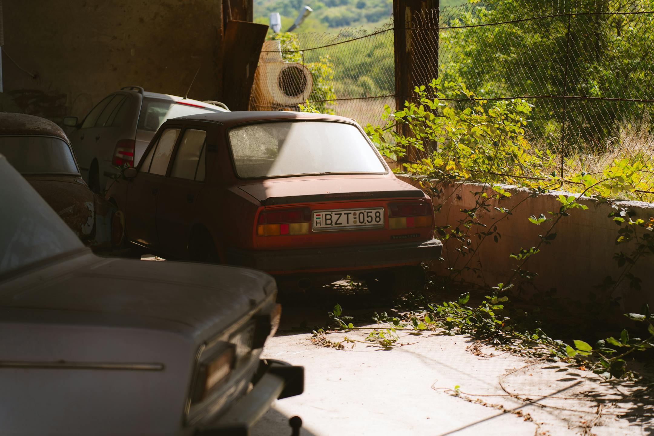Dusty vintage cars abandoned in a rural setting with overgrown plants.