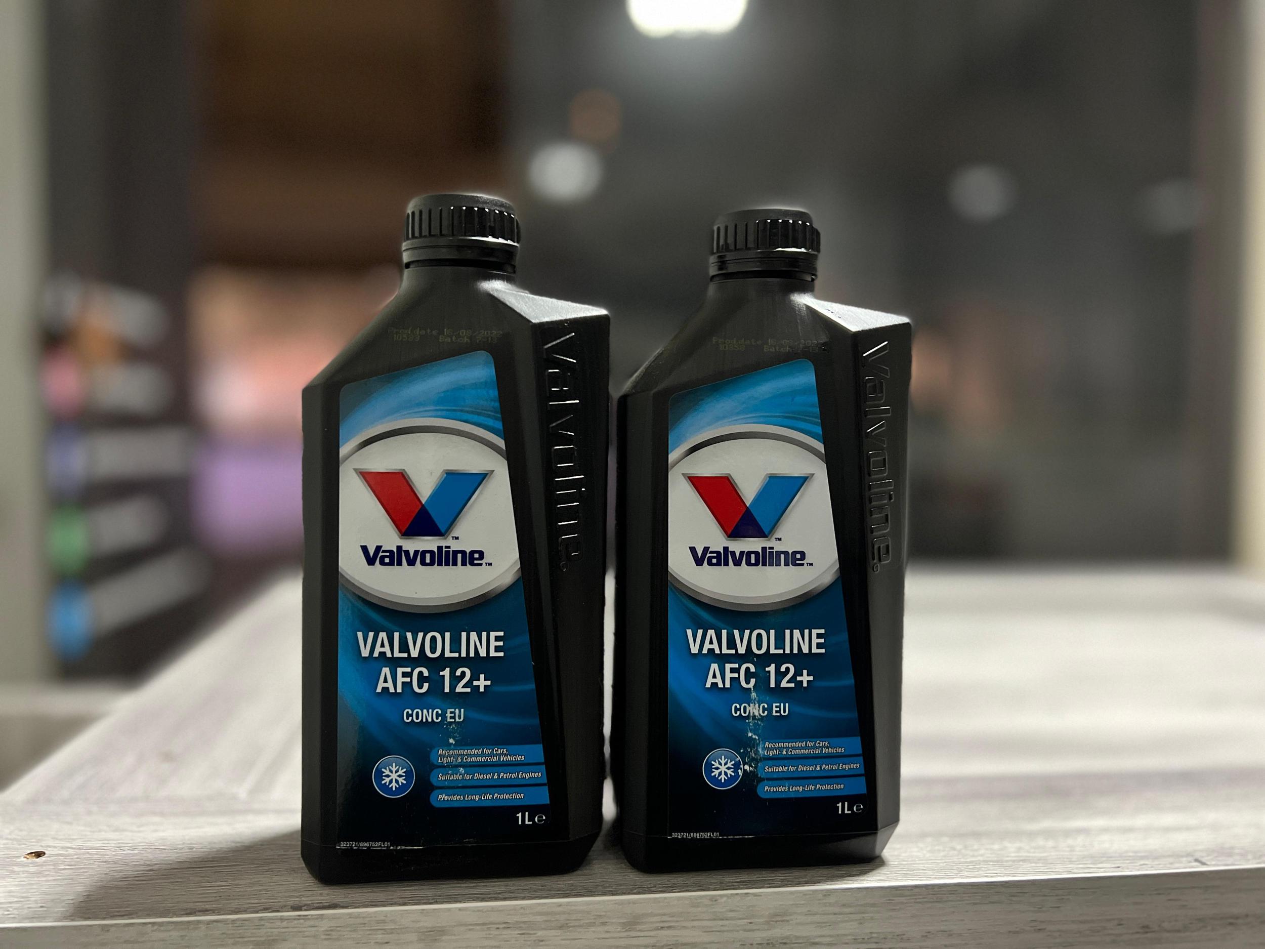 whatsapp image 2025-03-21 at 7.50.09 pm.jpeg