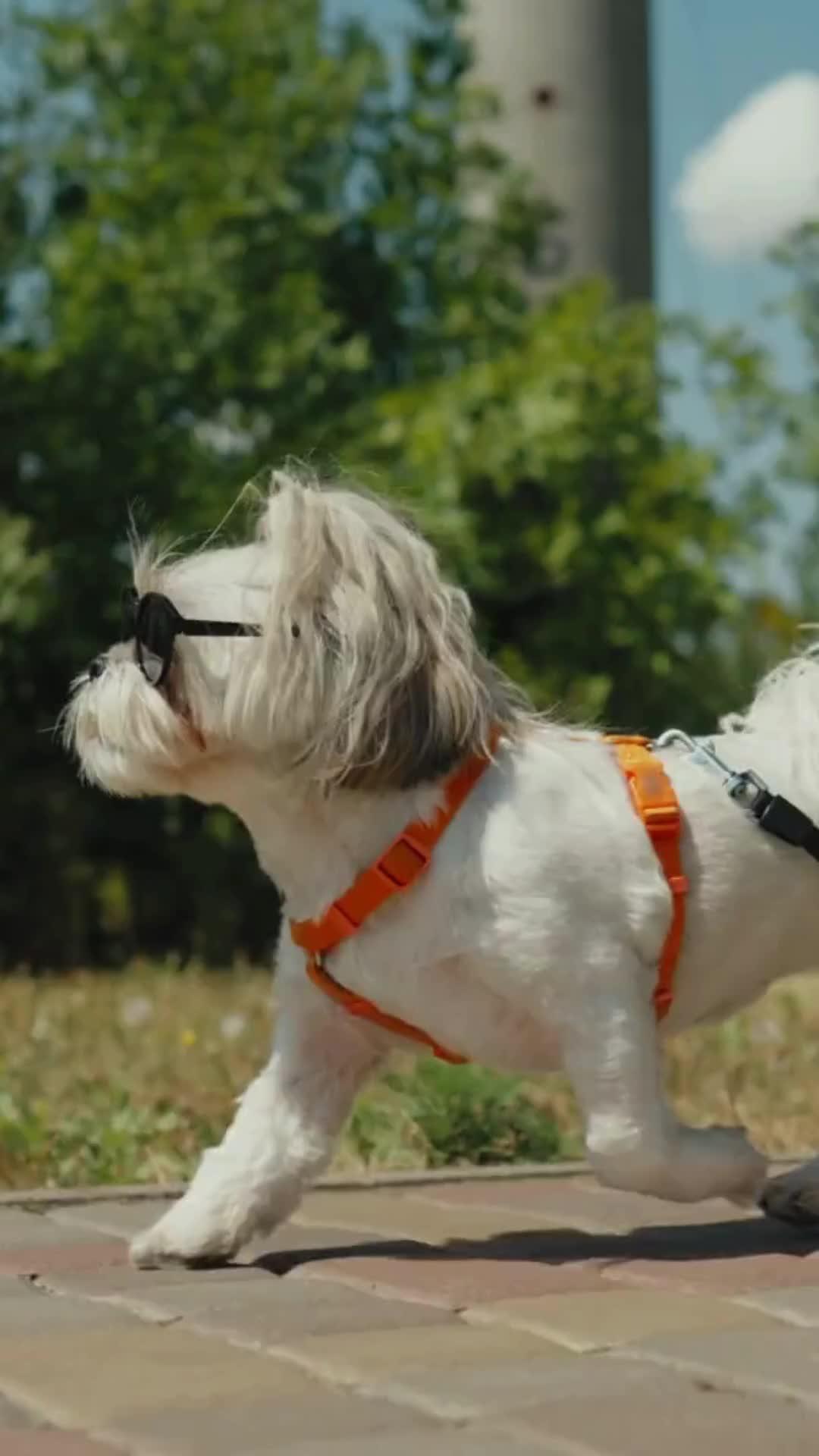 reel 23 michoacana.mp4