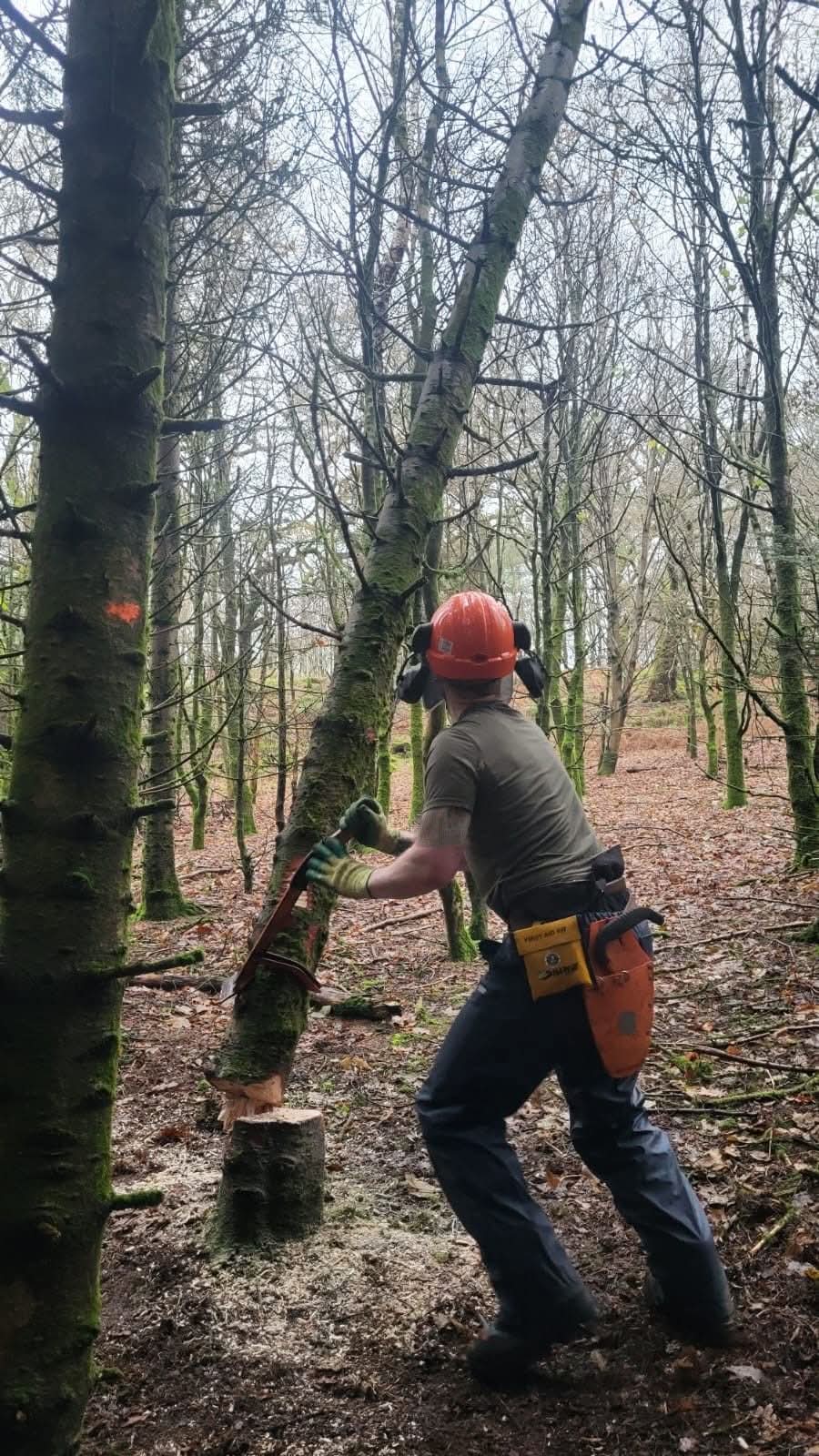 Troy the Lawn Ranger professional team at work