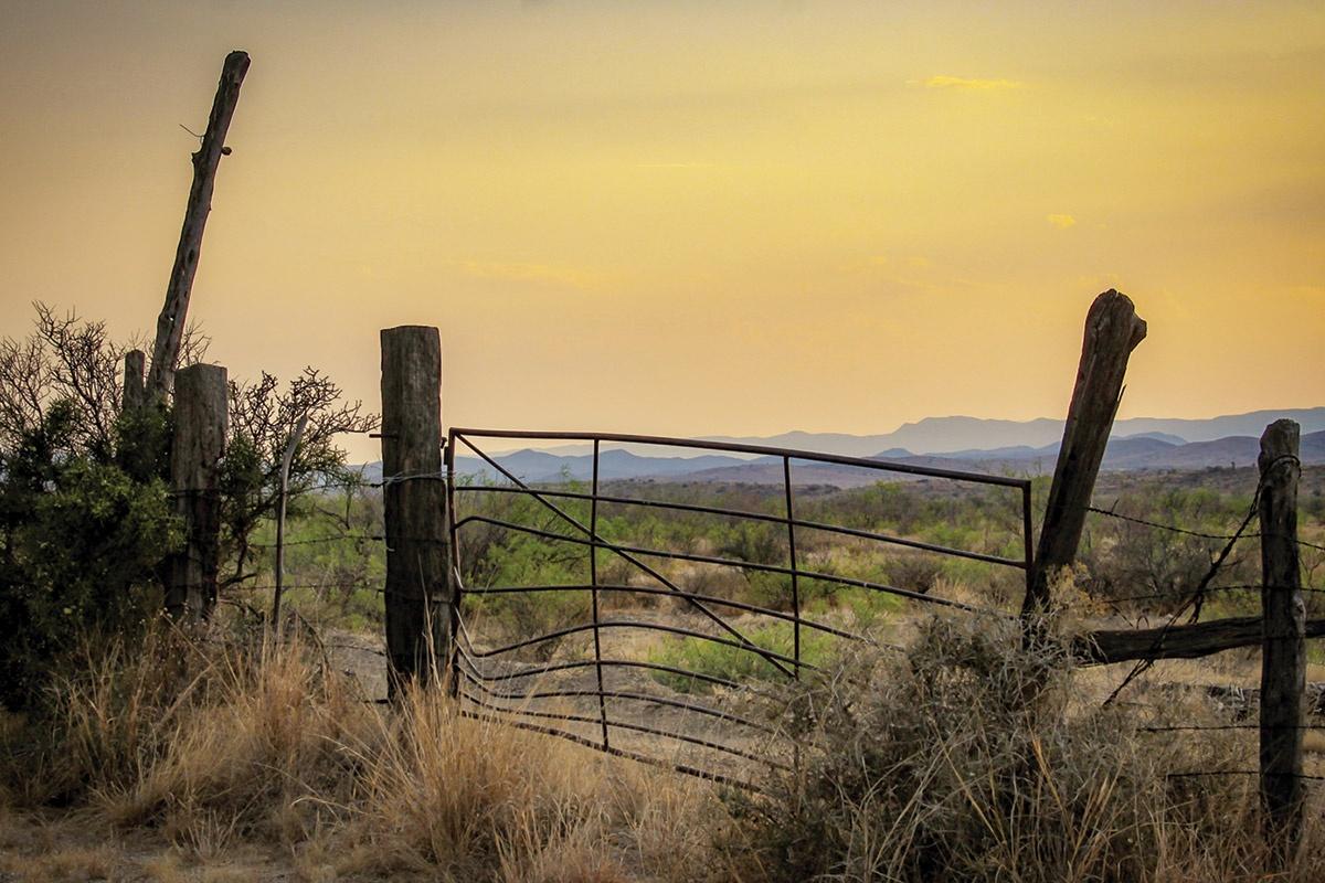 Learn the quirky rules of fence removal and boundary disputes under Texas law. From adverse possession to self-help rights, discover why fence fights are some of the strangest cases in Texas civil practice.