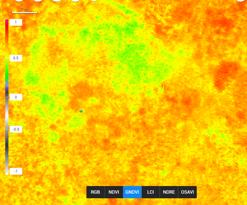 screenshot 2025-10-08 171945.png