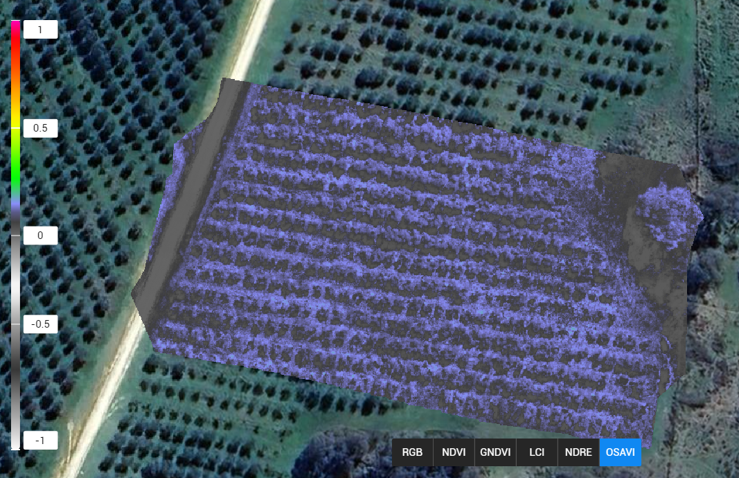 screenshot 2025-10-05 171616.png