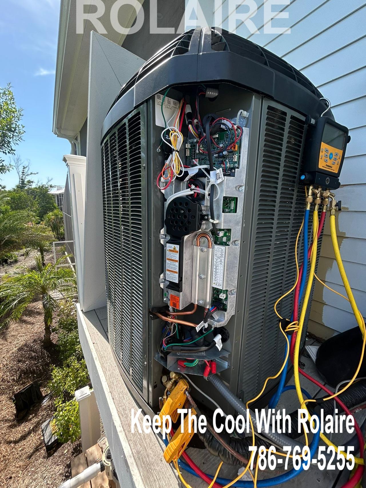 WhatsApp Image 2025-09-08 at 11.31.00 AM (1).jpeg