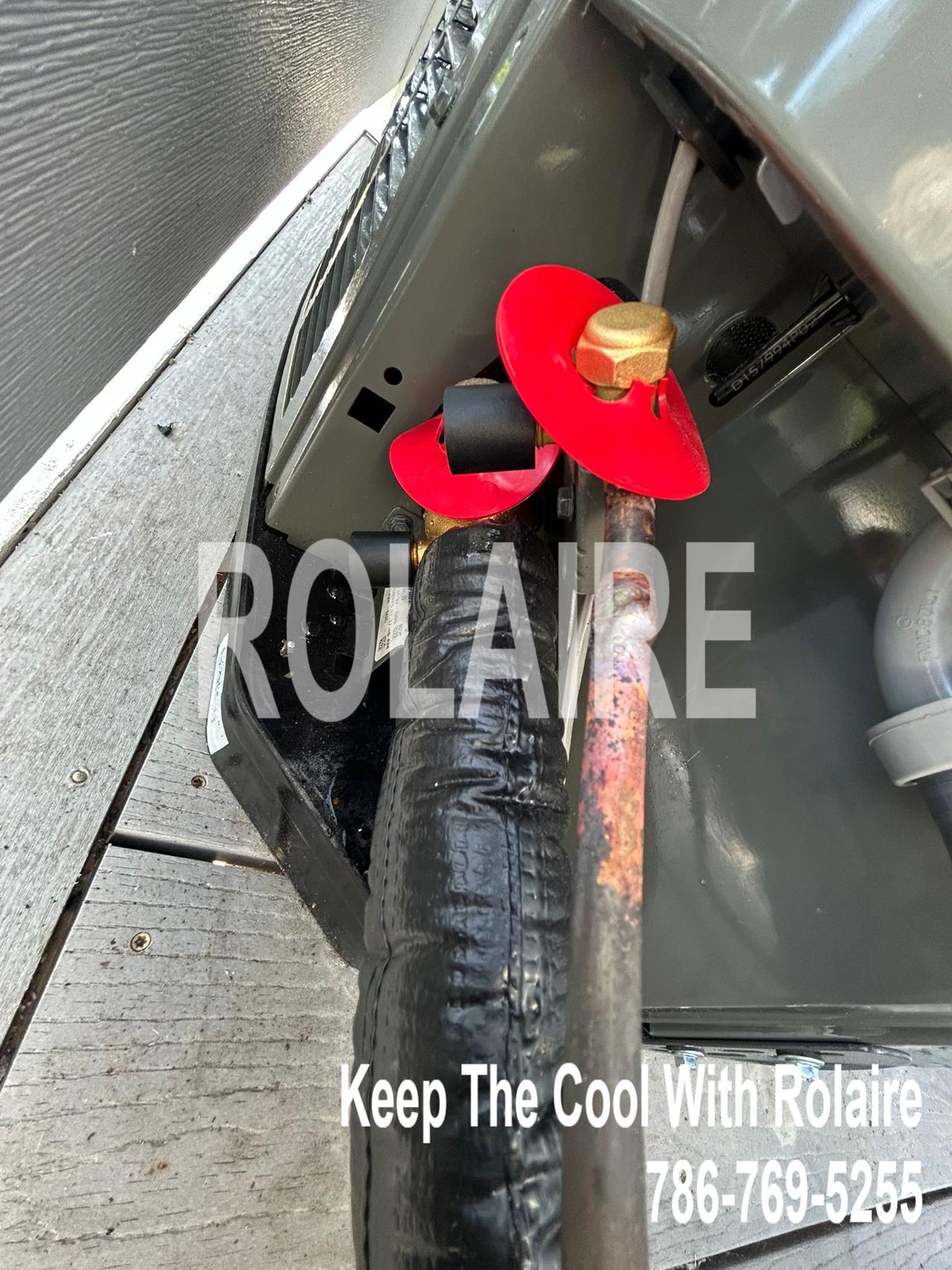 WhatsApp Image 2025-09-08 at 11.31.02 AM (2).jpeg