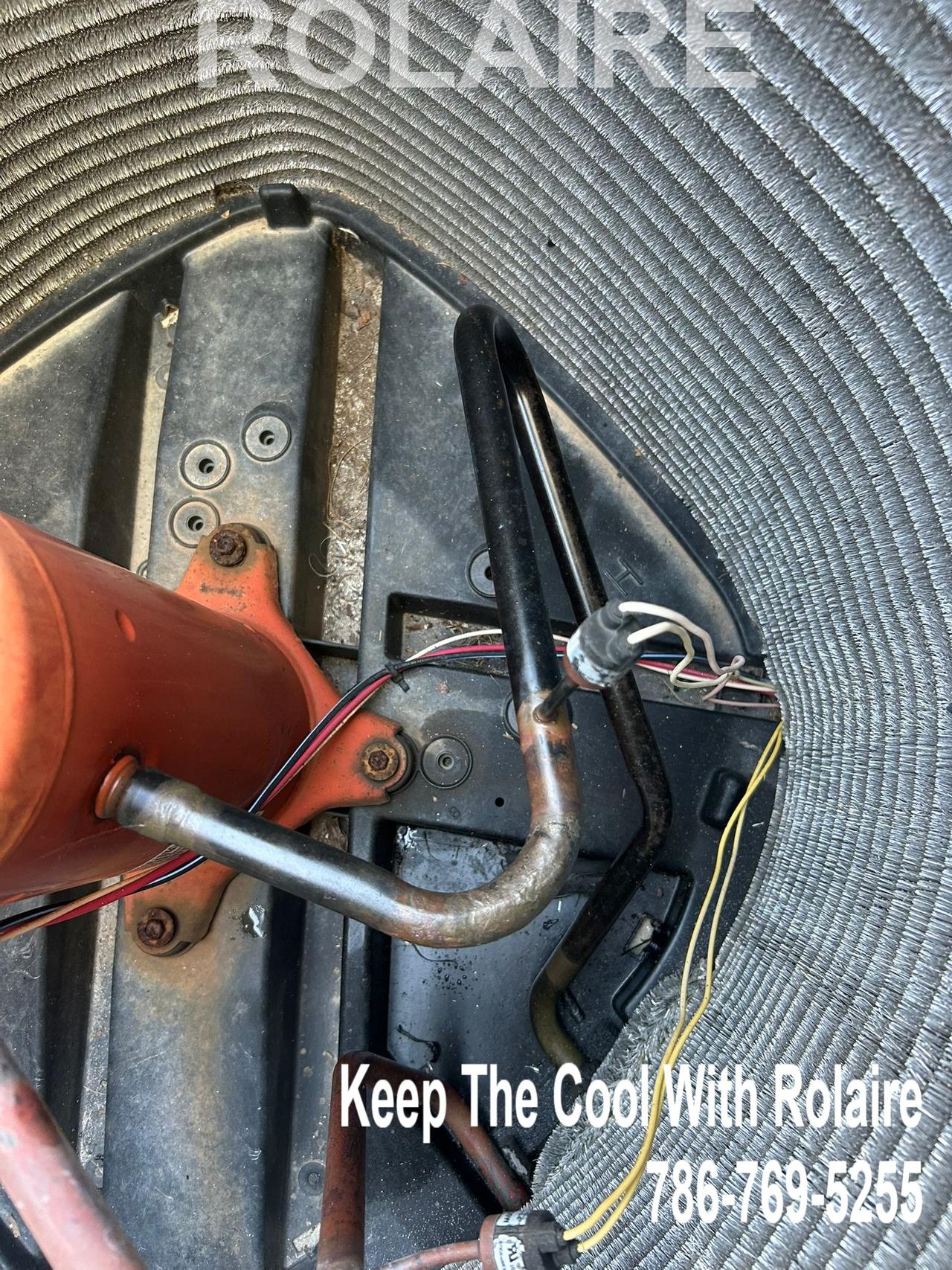 WhatsApp Image 2025-09-08 at 11.31.18 AM (1).jpeg