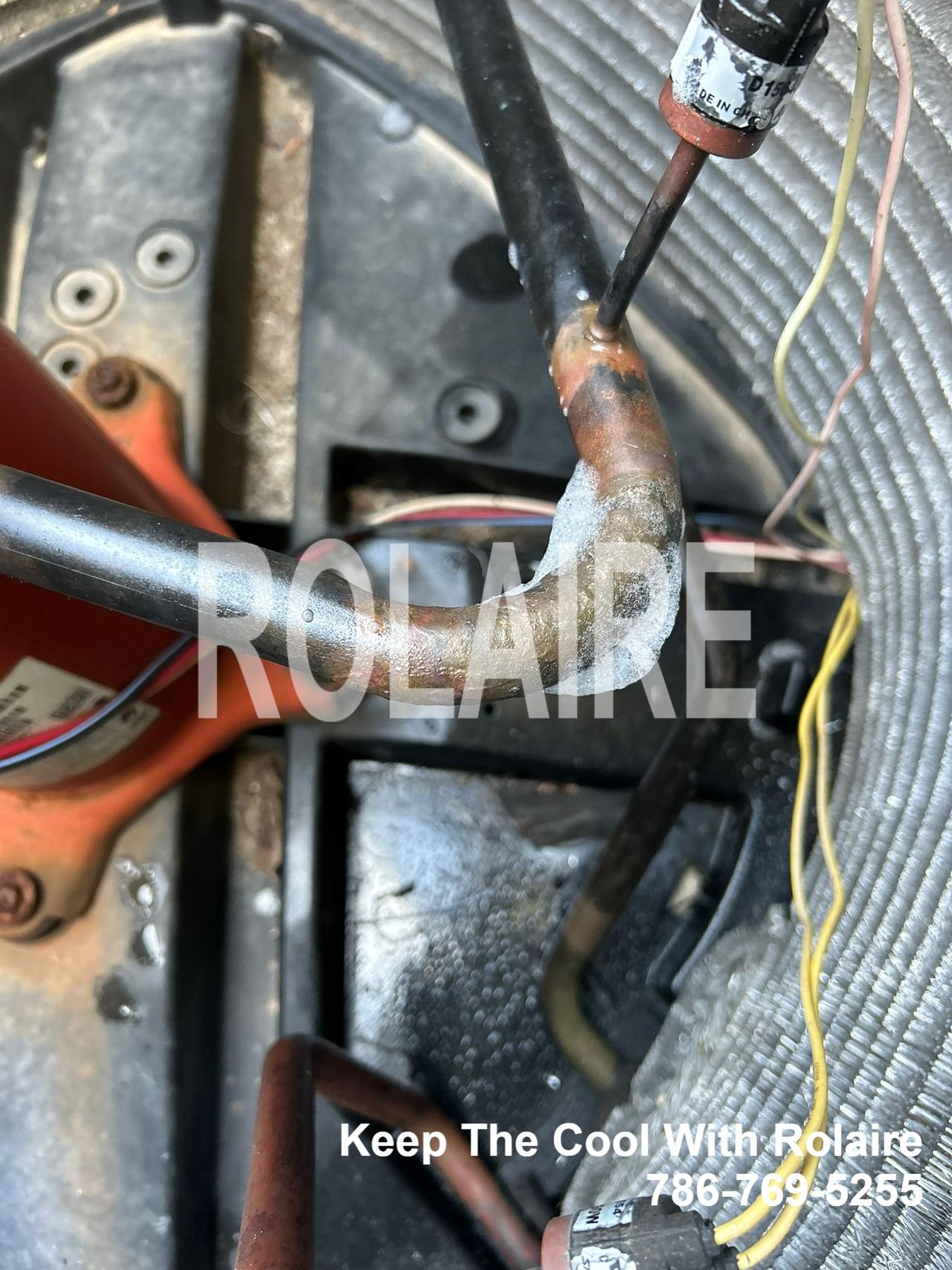 WhatsApp Image 2025-09-08 at 11.31.20 AM.jpeg