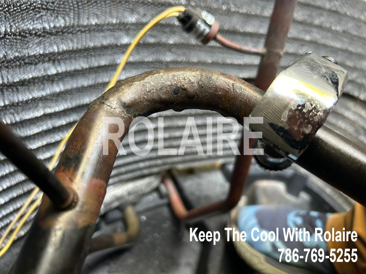 WhatsApp Image 2025-09-08 at 11.31.21 AM (1).jpeg