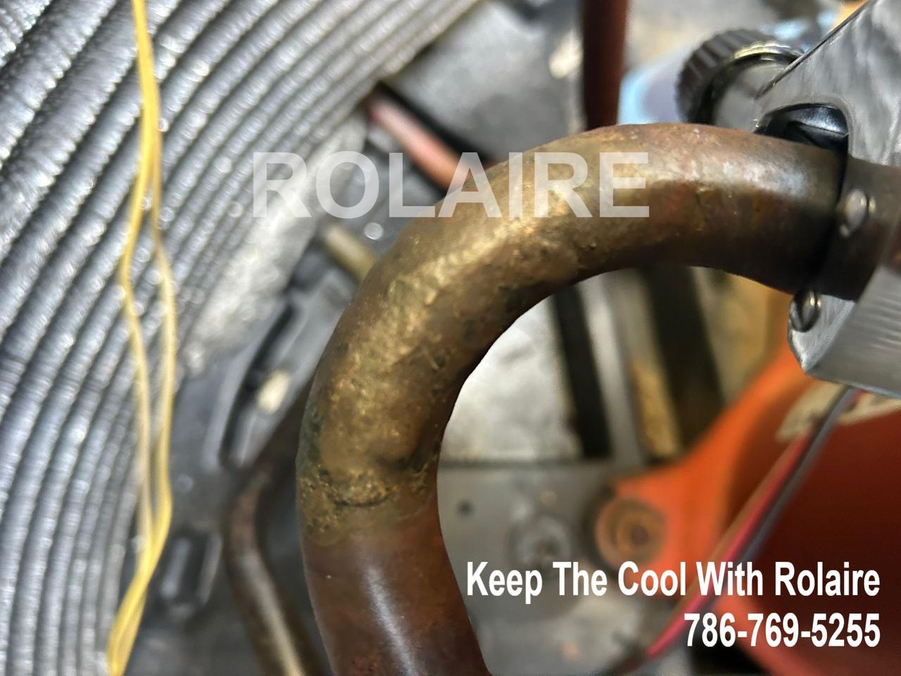 WhatsApp Image 2025-09-08 at 11.31.21 AM (2).jpeg