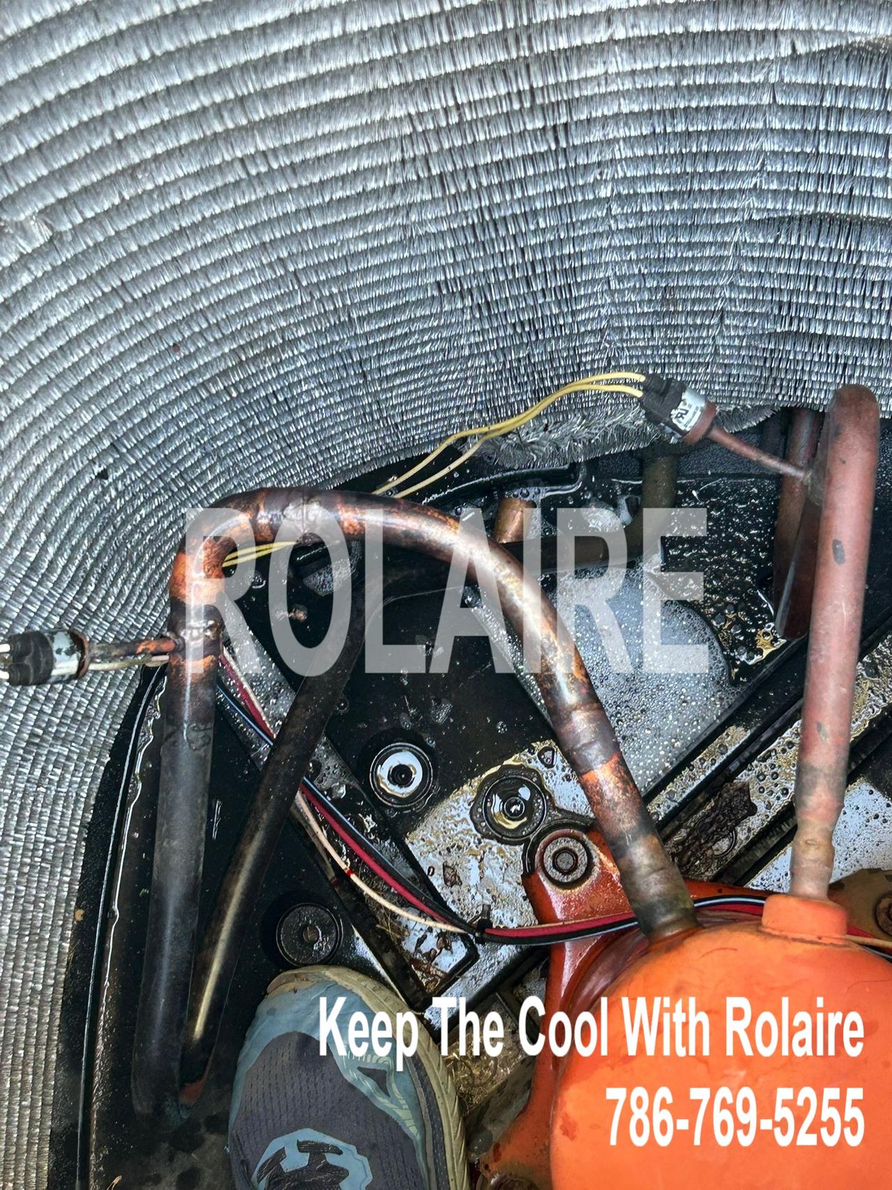 WhatsApp Image 2025-09-08 at 11.31.21 AM (3).jpeg