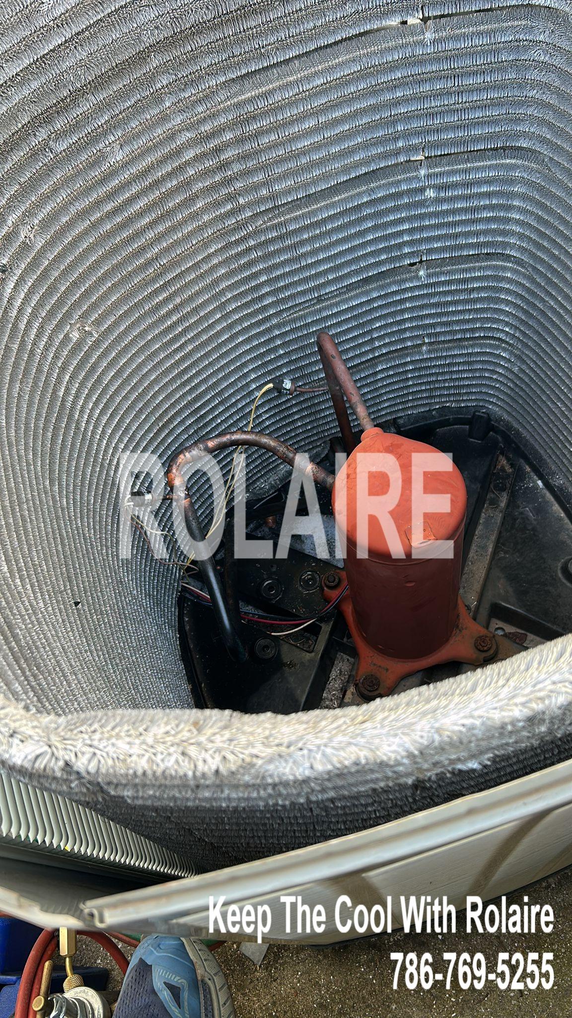 WhatsApp Image 2025-09-08 at 11.31.21 AM (4).jpeg