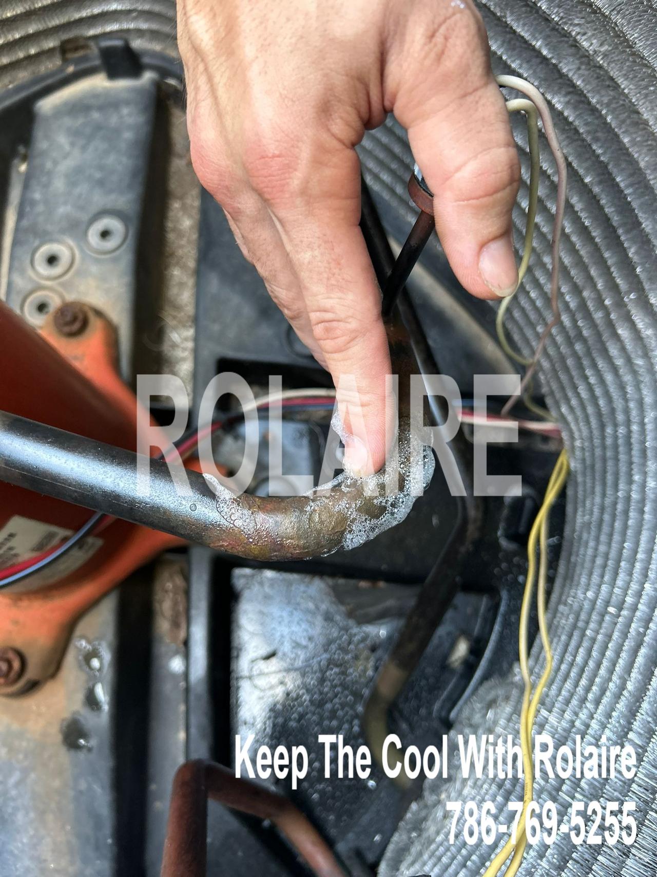 WhatsApp Image 2025-09-08 at 11.31.21 AM.jpeg